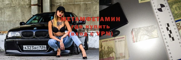 прущие грибы Кулебаки