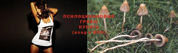 таблы Куйбышев