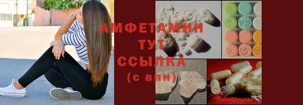 прущие грибы Кулебаки