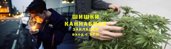 прущие грибы Кулебаки