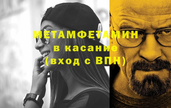 прущие грибы Кулебаки
