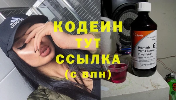 прущие грибы Кулебаки