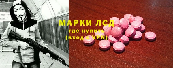 прущие грибы Кулебаки