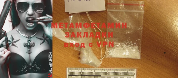 прущие грибы Кулебаки