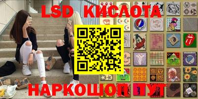 крисы Кандалакша