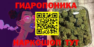 крисы Кандалакша