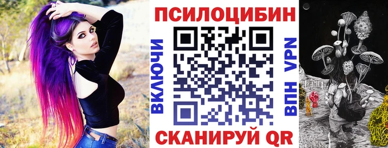 цена наркотик  гидра маркетплейс  Галлюциногенные грибы MAGIC MUSHROOMS  Тайшет 