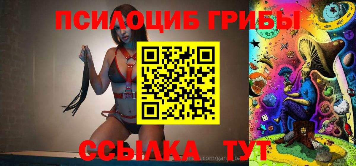 Псилоцибиновые грибы GOLDEN TEACHER Тайшет